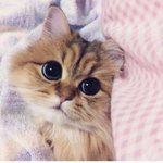 Марина Владимировна