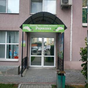 Фотография Ромашки 5