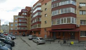 Фотография Ромашки 5