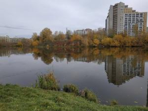 Фотография Чудо-цветик 5