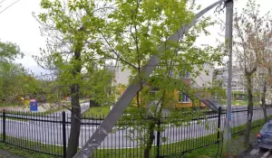 Фотография МБДОУ - детский сад № 355 3