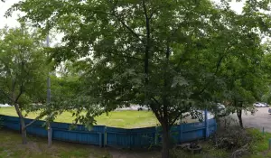 Фотография Детский сад №37 3