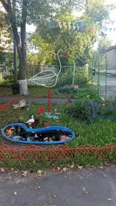 Фотография Детский сад № 97 4