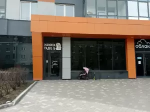 Фотография Мамина радость 4