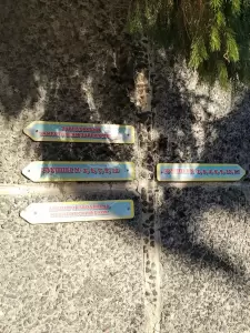 Фотография Детский сад № 497 2