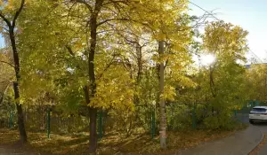 Фотография Детский сад № 86 4