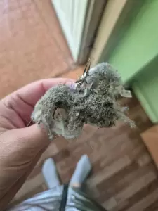 Фотография Детский сад №493 комбинированного вида 3