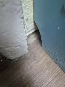 Фотография Детский сад №493 комбинированного вида 4