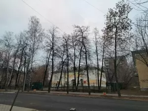 Фотография Детский сад №170 2