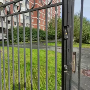 Фотография Аистенок 0