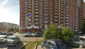 Фотография Аистенок 1