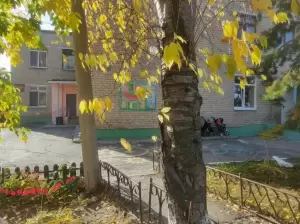 Фотография Детский сад № 385 0