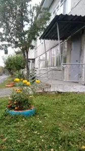 Фотография Детский сад №13 2